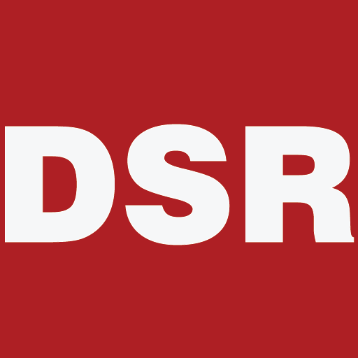 512 by 512 mini logo for Daniel Stephen Realty